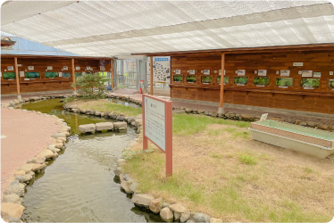 旭川ミニ淡水魚水族館